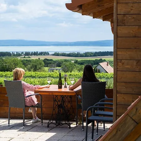 Birtok Kesei Szueret Apartmanhaz Apartmán Tagyon