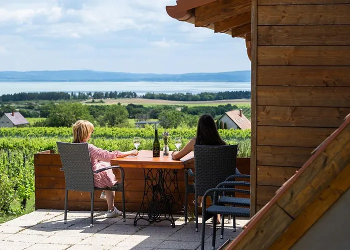 Birtok Kesei Szueret Apartmanhaz Apartment Tagyon